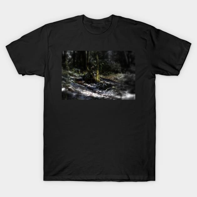 snowy Oregon forest 9 T-Shirt by DlmtleArt